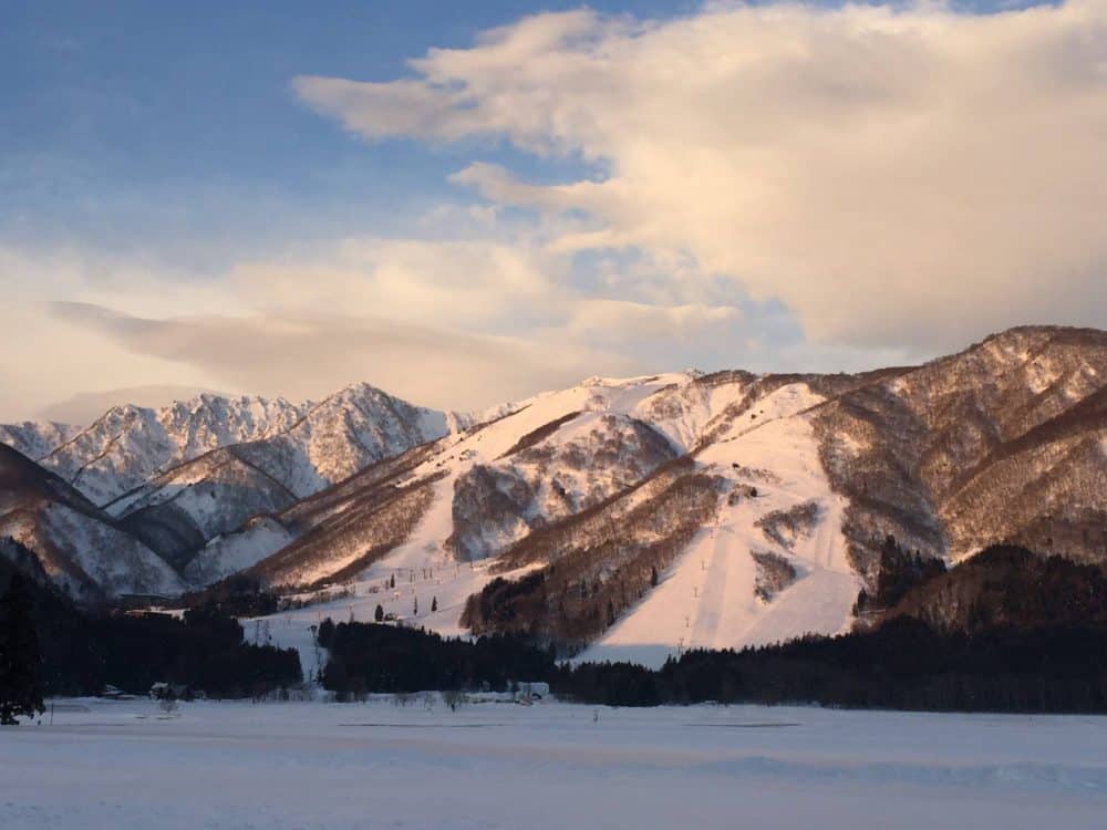 Goryu - Hakuba