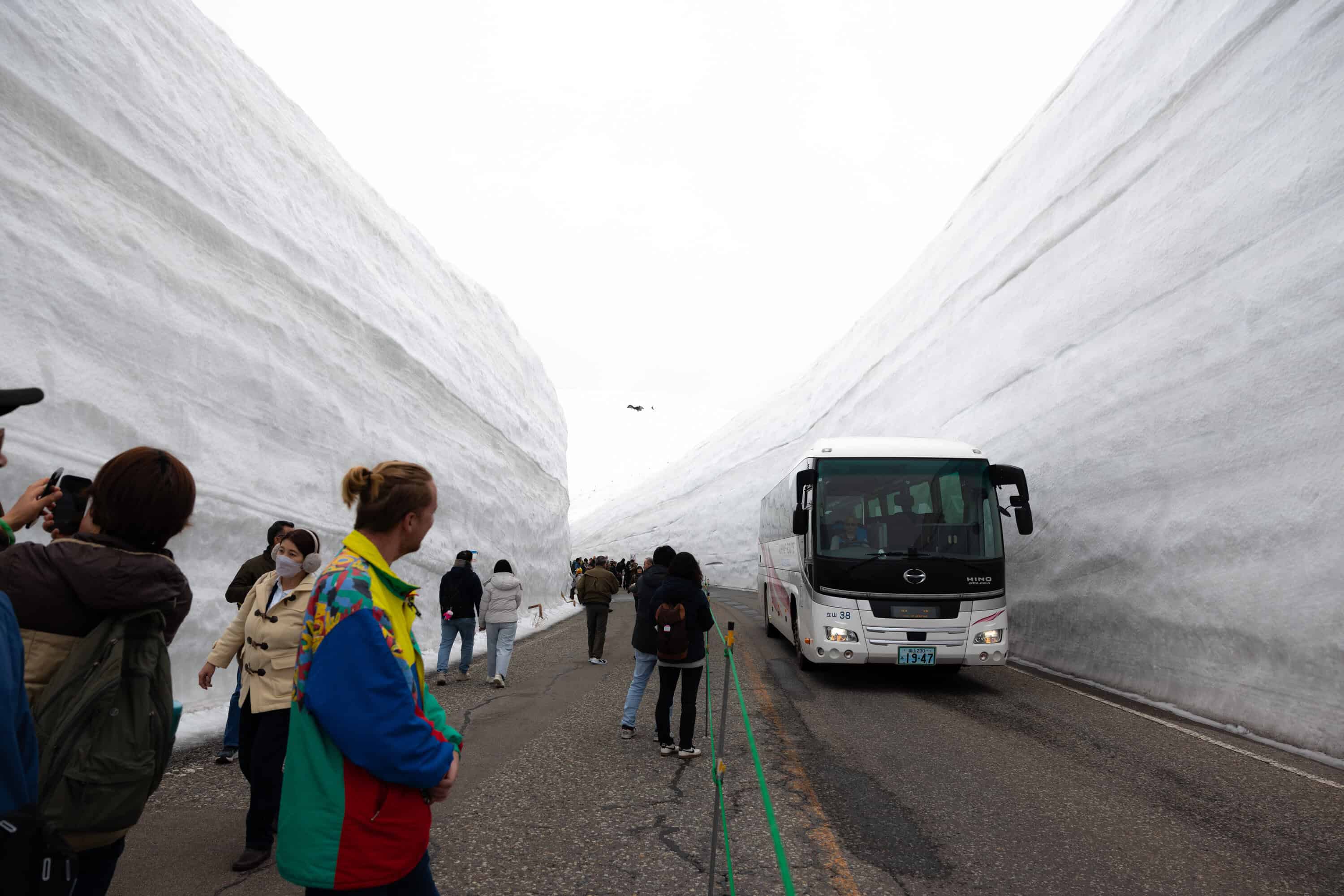 Tateyama Snow Wall Day Trip - Hakuba