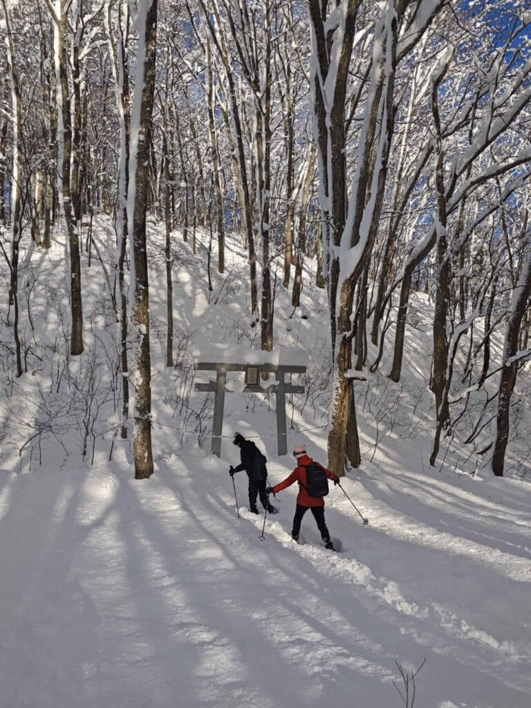 Hakuba Essentials - Hakuba